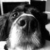 Gary Bowden - Facebook