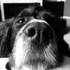 Gary Bowden - @gary.bowden - TikTok