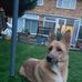Gary Bowden - Facebook