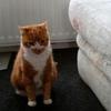 Gary Bowe386 - @garybowe386 - TikTok