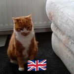 Gary Bowe - @garyfrankbowegmail.3 - Instagram