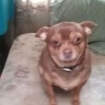 Gary Bowie - @gary.bowie.104 - Instagram