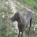 Gary Bowie - Facebook