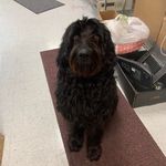 Gary Bowser - @willabean3 - Instagram