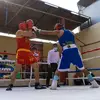 Garito - @gary.box - TikTok