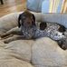 Gary Boyd - Facebook