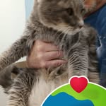 Gary Boyd - @gary.boyd.18400700 - Instagram