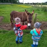 Gary Bracken - @gary.bracken.9 - Instagram