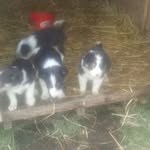 gary bracken - @garbrac - Instagram