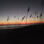 Gary Bracken - @gbracken4 - Instagram
