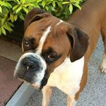 Gary Braswell - @gbraswell1134 - Instagram