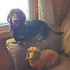 Gary Briggs - @gary.briggs56 - TikTok
