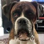 Gary Britton - @gary.britton.583 - Instagram