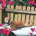 Gary Brooks - @gary.brooks.5209 - Instagram