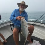 Gary Browne - @brownegaz - Instagram