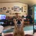 Gary Browning - Facebook