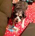 Gary Brumley - Facebook