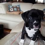 Gary Brundage - @garybrundage - Instagram