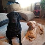 Gary Brunk - @ledfoot_gary - Instagram