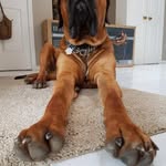 Gary Buck - @gary.buck.3287 - Instagram