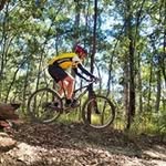 Gary Buckley - @buckley6797 - Instagram