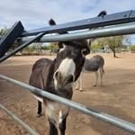 Gary Burgett - @burgett5333 - Instagram