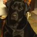 Gary Burgett - Facebook