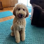 Gary N Lois Burnette - @garynloisburnette - Instagram
