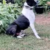 garybyrd46 - @garybyrd46 - TikTok