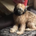 Gary Cahoon - @gcaho84 - Instagram