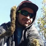 Gary Campos Barriga - @garyhuanaweed - Instagram