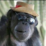 Gary Cantwell - @gary.cantwell.313 - Instagram