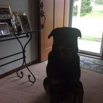 Gary Cantwell - @gooeyisp12 - Instagram