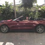 Gary Carmichael - @gary.carmichael1 - Instagram