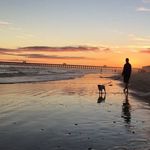 Gary Carmichael - @frisgee01 - Instagram