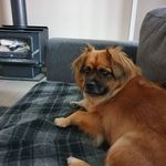 Gary Carmichael - @carmichael1845 - Instagram