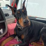 Gary Carpenter - @gary.carpenter.520125 - Instagram