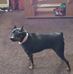 Gary Carpenter - Facebook