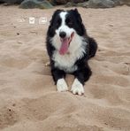 Gary Cave - Facebook