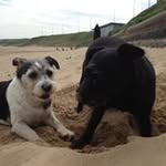 Gary Cave - @cave.gary - Instagram