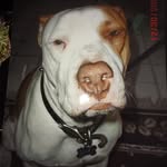 Gary Cease - @itss_booineed_someoneto_talkto - Instagram