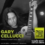 Gary Cellucci - @garycellucci - Instagram