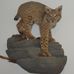 Gary Cessna Taxidermy - Facebook