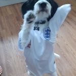 Gary Chaffin - @gazchaff1 - Instagram