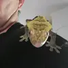 garychalfant - @kajinboi - TikTok