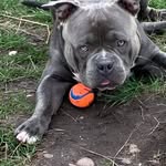Gary Chalk - @gary.chalk.no9 - Instagram