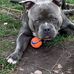 Gary Chalk - Facebook