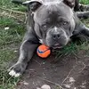garychalk449 - @garychalk449 - TikTok