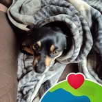 Gary Champion - Facebook