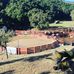 Gary Leffews Champion Bullriding - Facebook